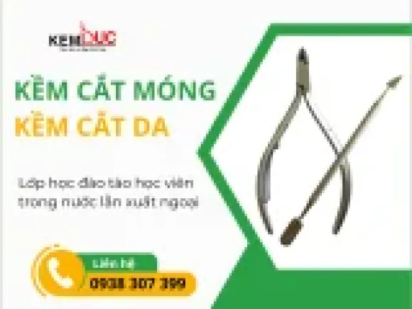 Tin tức